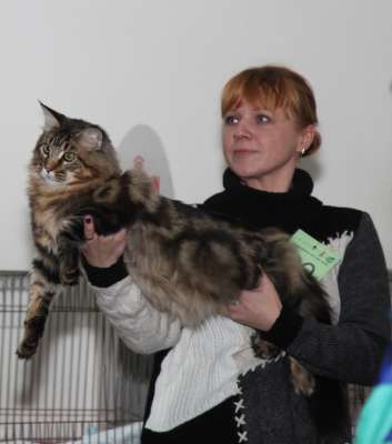 �������� ����� '������� ���-�����' 30 ������-1 ������� 2013., ������������ ��� 2472